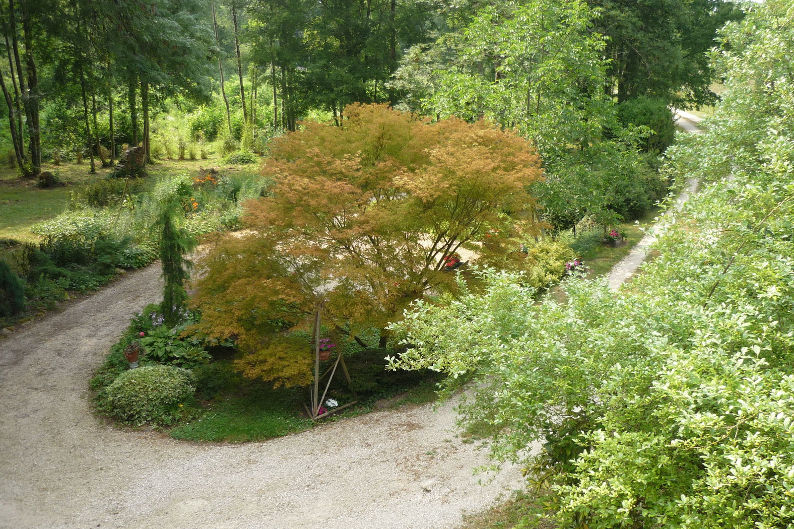 Itsenäinen Studio Éclaron-Braucourt-Sainte-Livière 113655