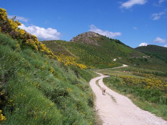 Logement Entier Montréal 45583-4