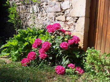 Logement Entier Montréal 45583-7