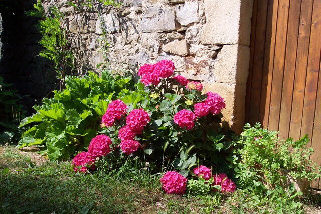 Tutta La Casa Montréal 45583