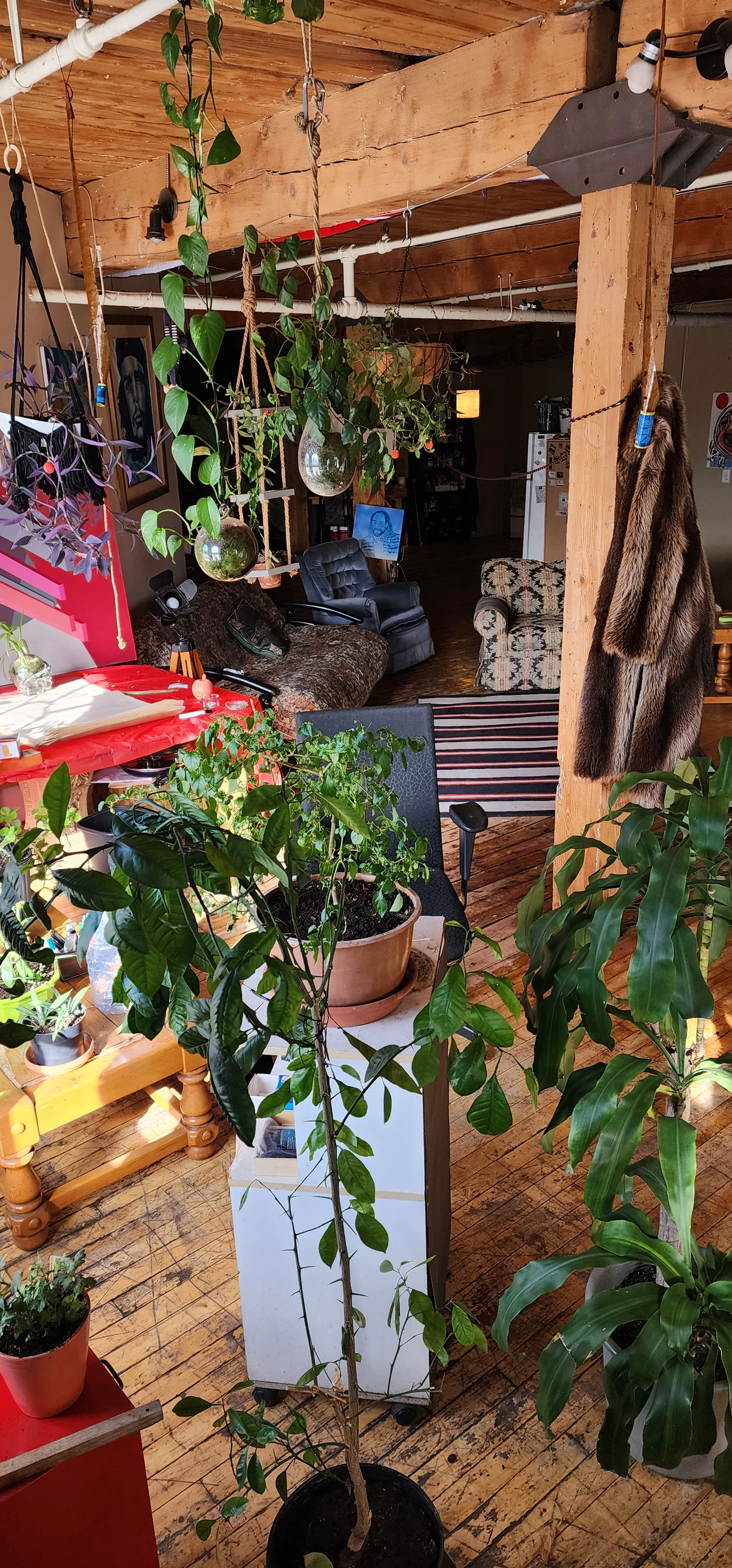 Chambre Chez L'habitant Montréal 328538