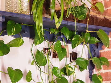 Chambre Chez L'habitant Montréal 390712-10