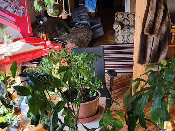 Chambre Chez L'habitant Montréal 328538-9