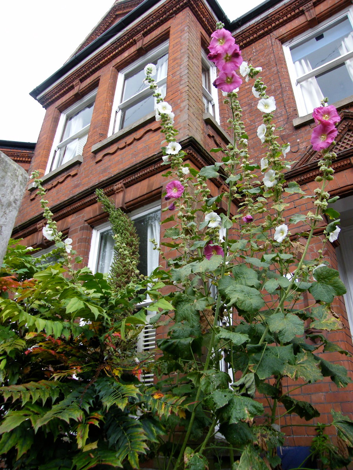 Bed And Breakfast Norwich 11796