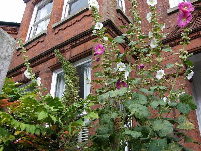 Habitaciones De Huéspedes Norwich 11796-1