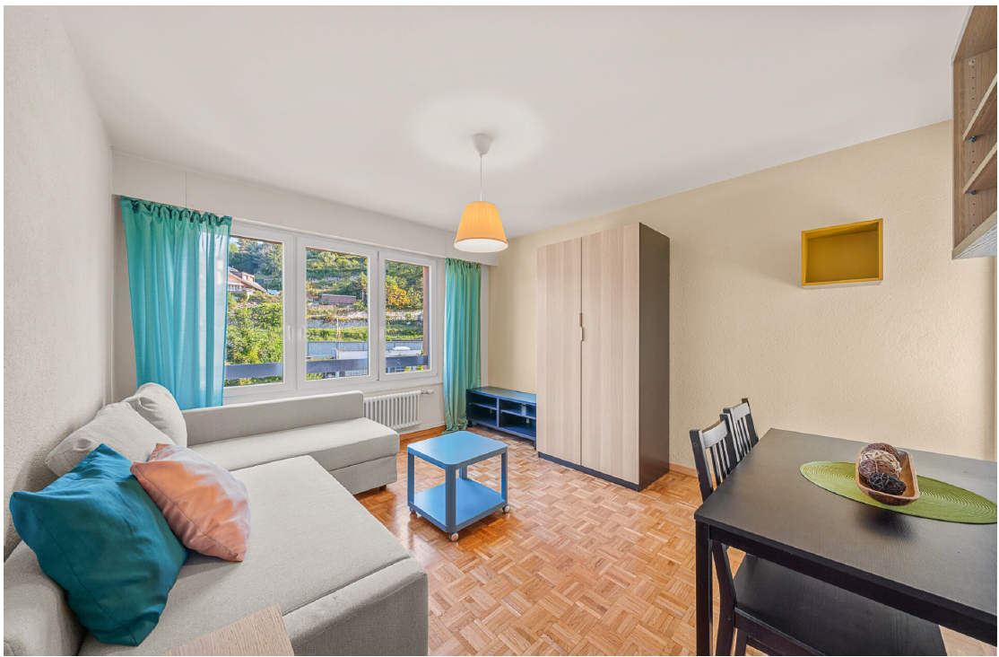 Logement Entier Montreux 500281