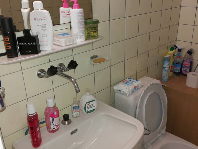 Gehele Woning Ecublens 184746-2