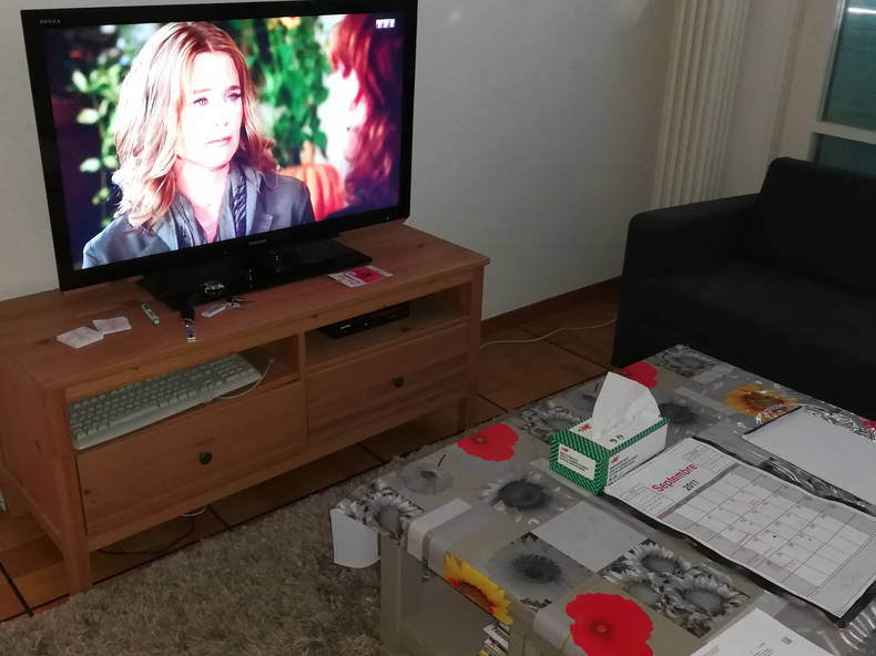 Ganzes Haus Ecublens 184746-4