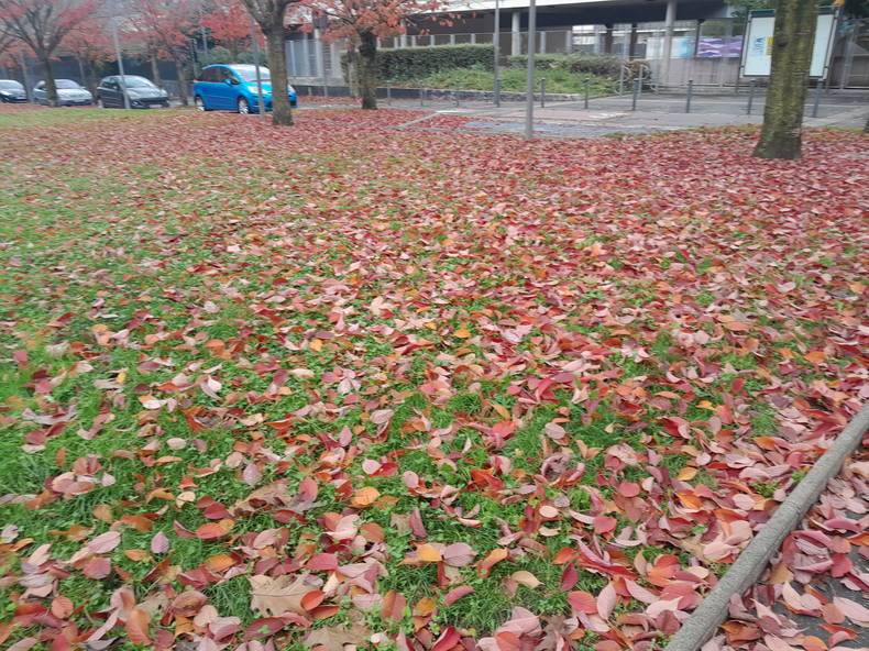 Toda La Casa Noisy-le-Grand 301904-4