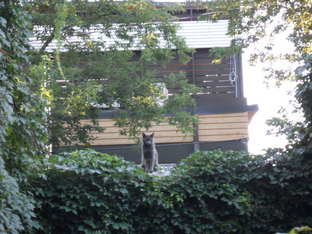 Famiglia Montréal 47161