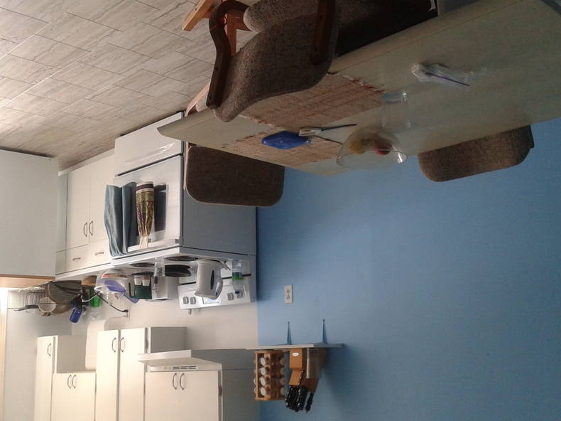 Colocation Montréal 118781-2