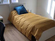 Chambre Chez L'habitant Antony 581203-1