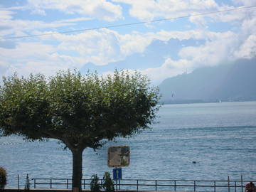 Stanza In Affitto Vevey 51845