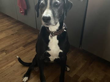 Homestay Sherbrooke 656321-12