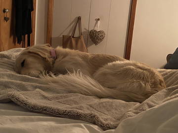 Homestay Sherbrooke 656321-13