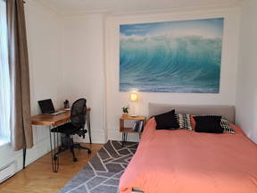 Large room with garden and terrace