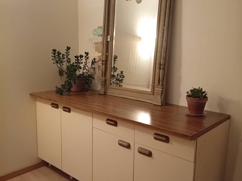 Kolokasie Les Touches-de-Périgny 544701-4