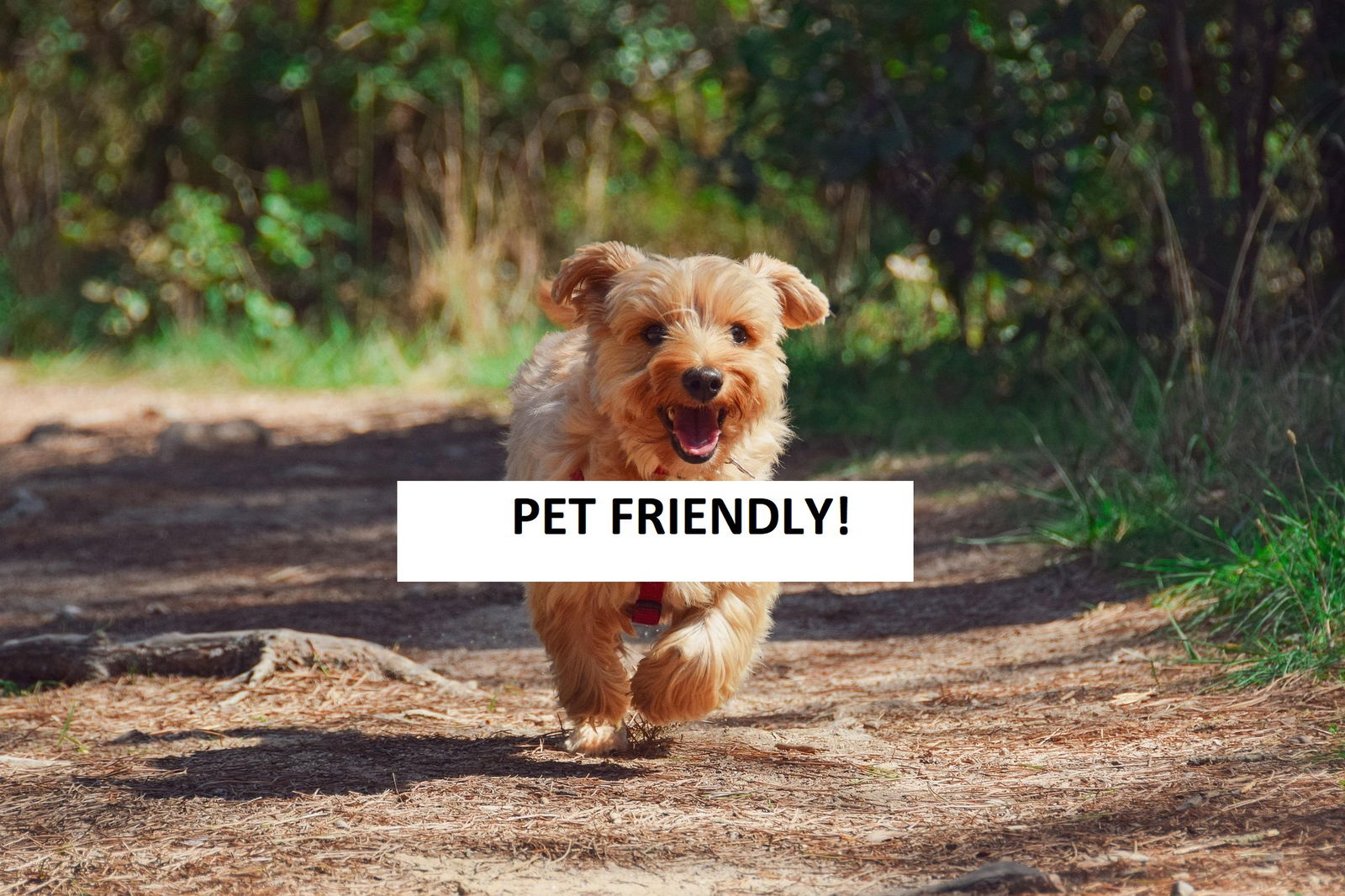 Colocation Dormelletto 289812