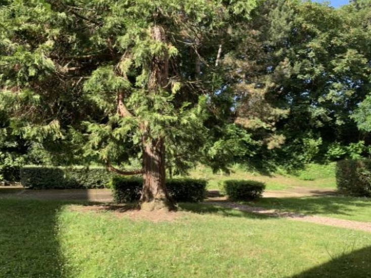 Zakwaterowanie U Rodziny Versailles 412979-4