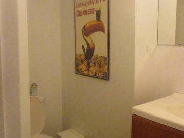 Colocation Montréal 239866-11