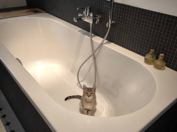 Coliving Anderlecht 629045-23