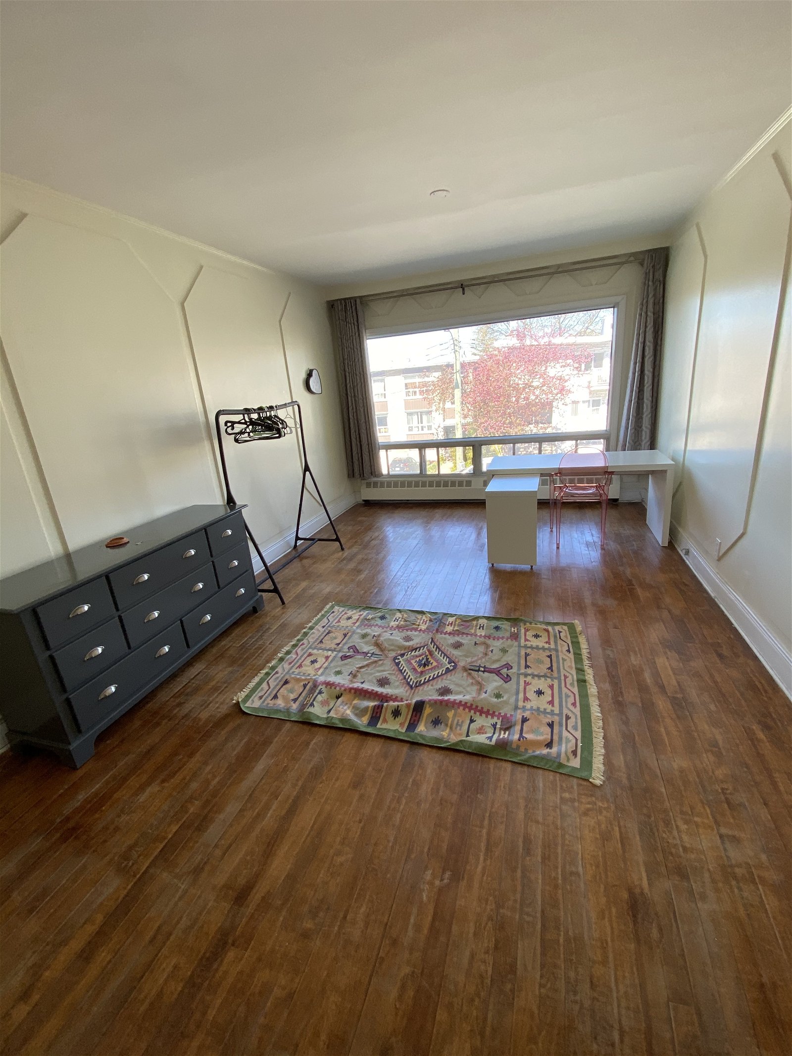 Kolokasie Montréal 256111