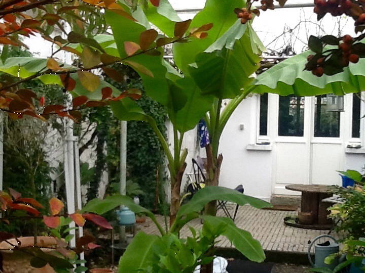 Kolokation Bègles 52271-4