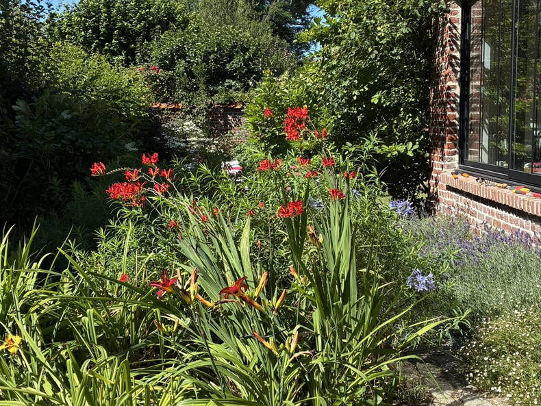 Homestay Lambersart 178977-4