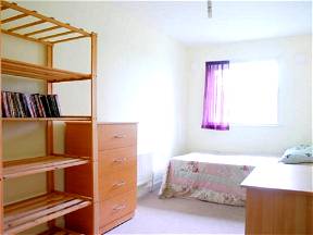 Large Double Room In Clean And Tidy Home