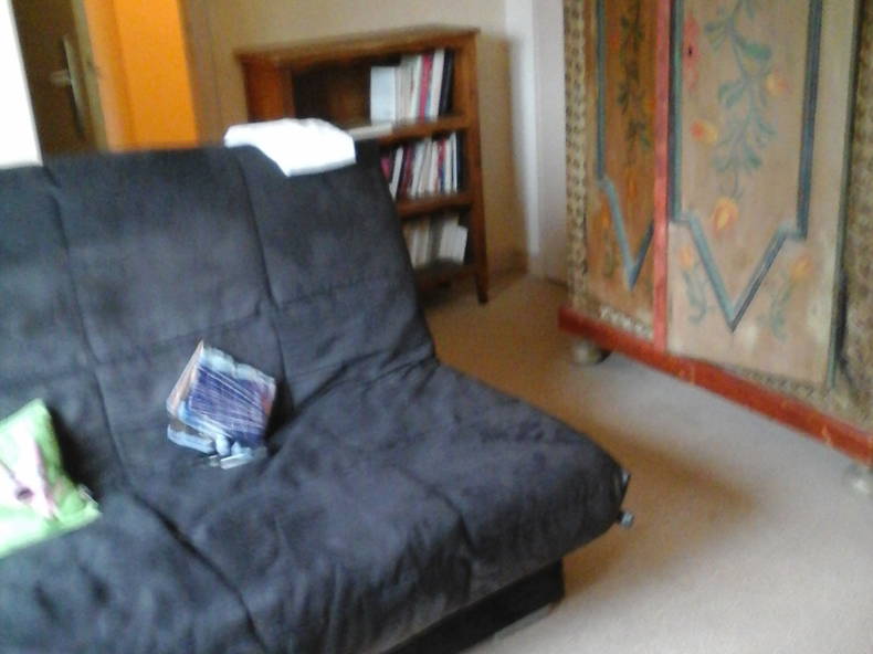 Kolokasie Plérin 96757-5