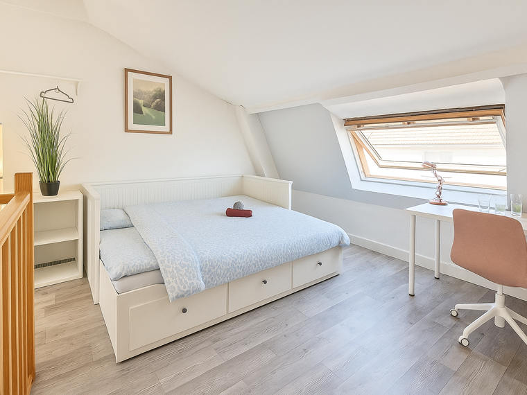 Colocation Lille 610380