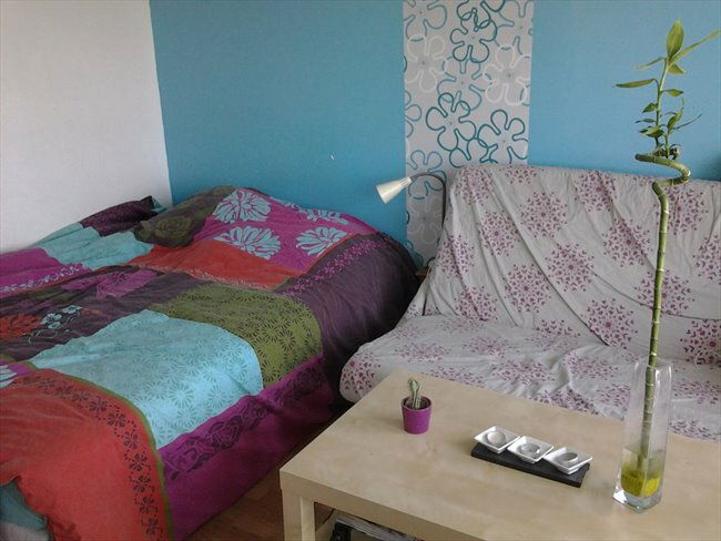 Chambre Chez L'habitant Lingolsheim 152392