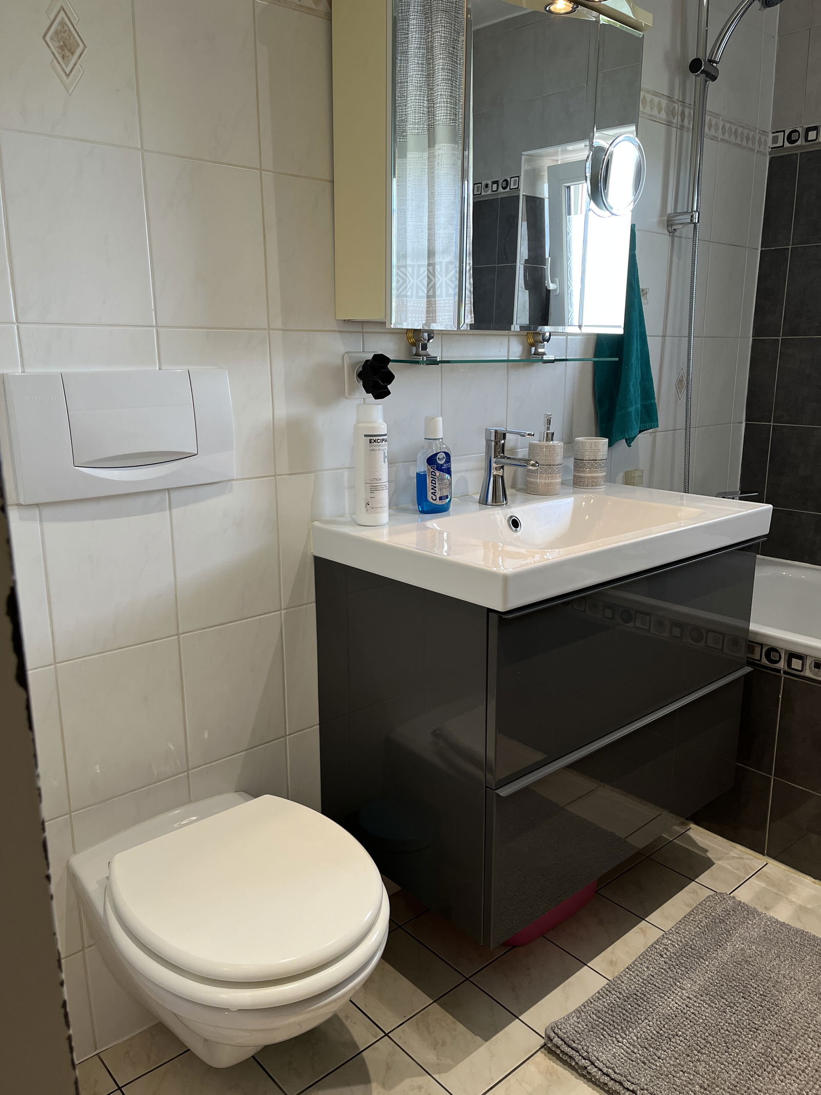 Chambre Chez L'habitant Veyrier 309214