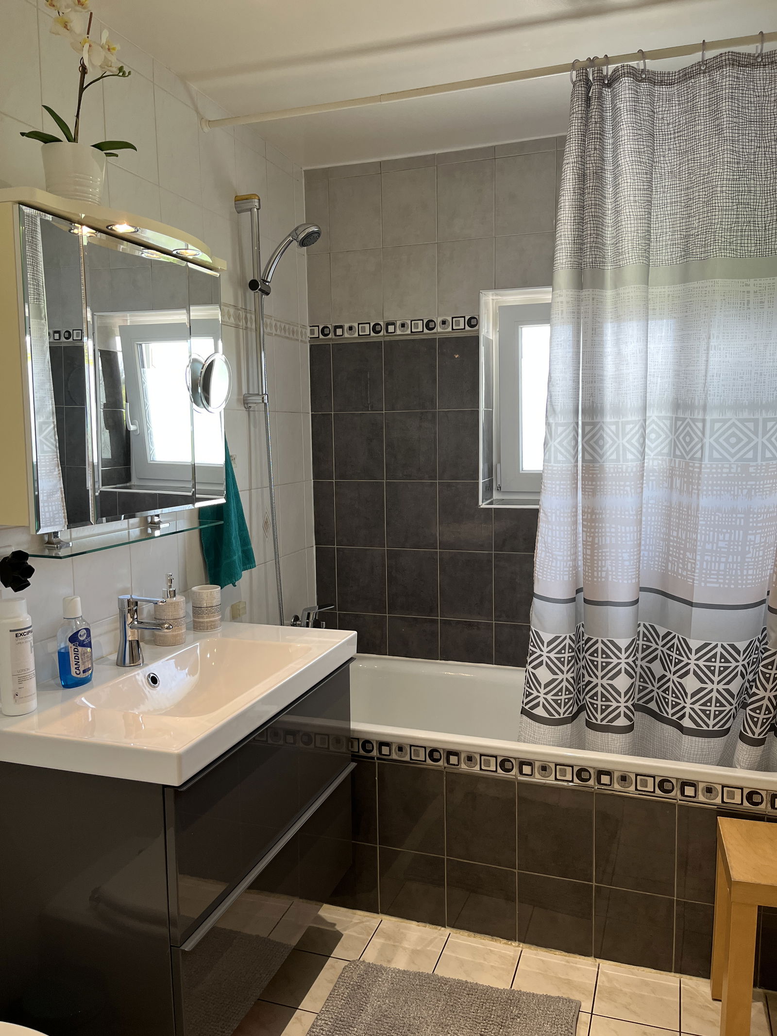 Chambre Chez L'habitant Veyrier 309214