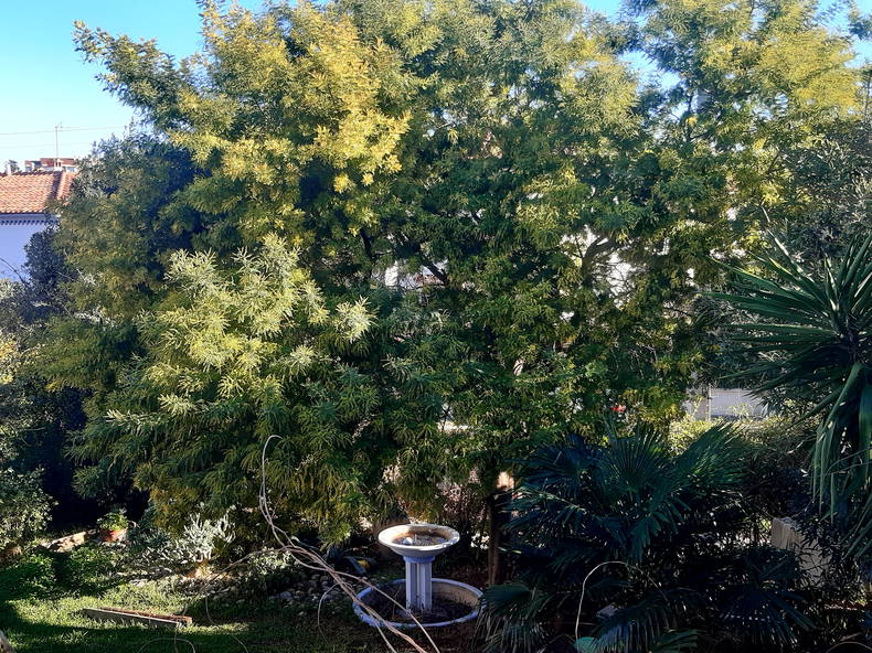 Gastfamilie Perpignan 653143-3