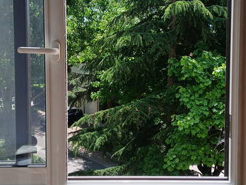 Chambre chez l'habitant à louer à Saint-Germain-En-Laye - photo 13 : autre pièce-13