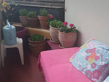 Chambre chez l'habitant à louer à Saint-Germain-En-Laye - photo 15 : balcon-15