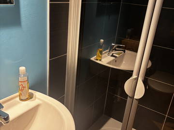 Chambre chez l'habitant à louer à Gilly - photo 5 : salle de bain-5