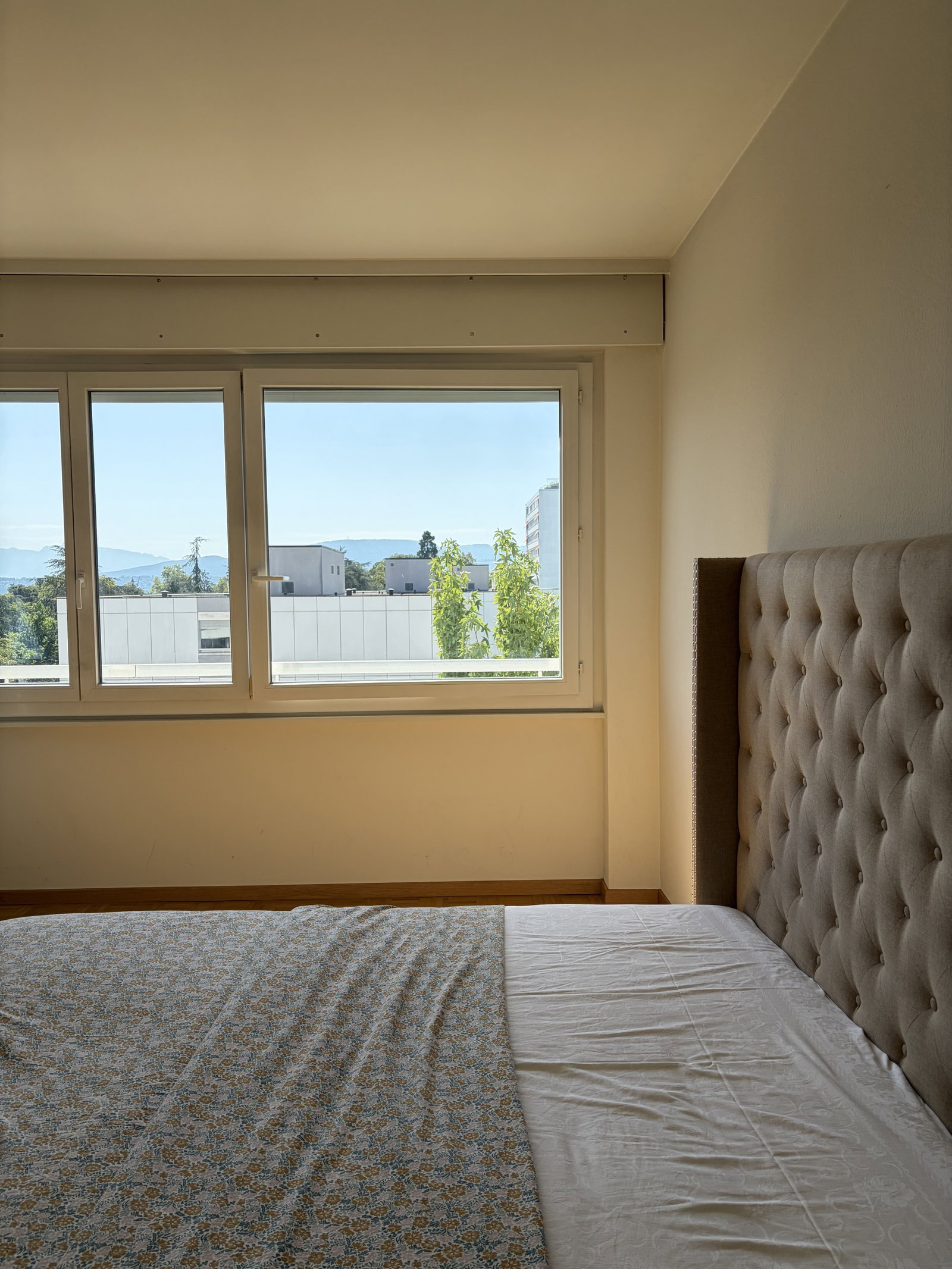Chambre Chez L'habitant Versoix 675135