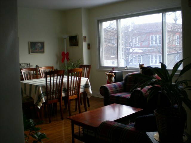 Homestay Montréal 53768