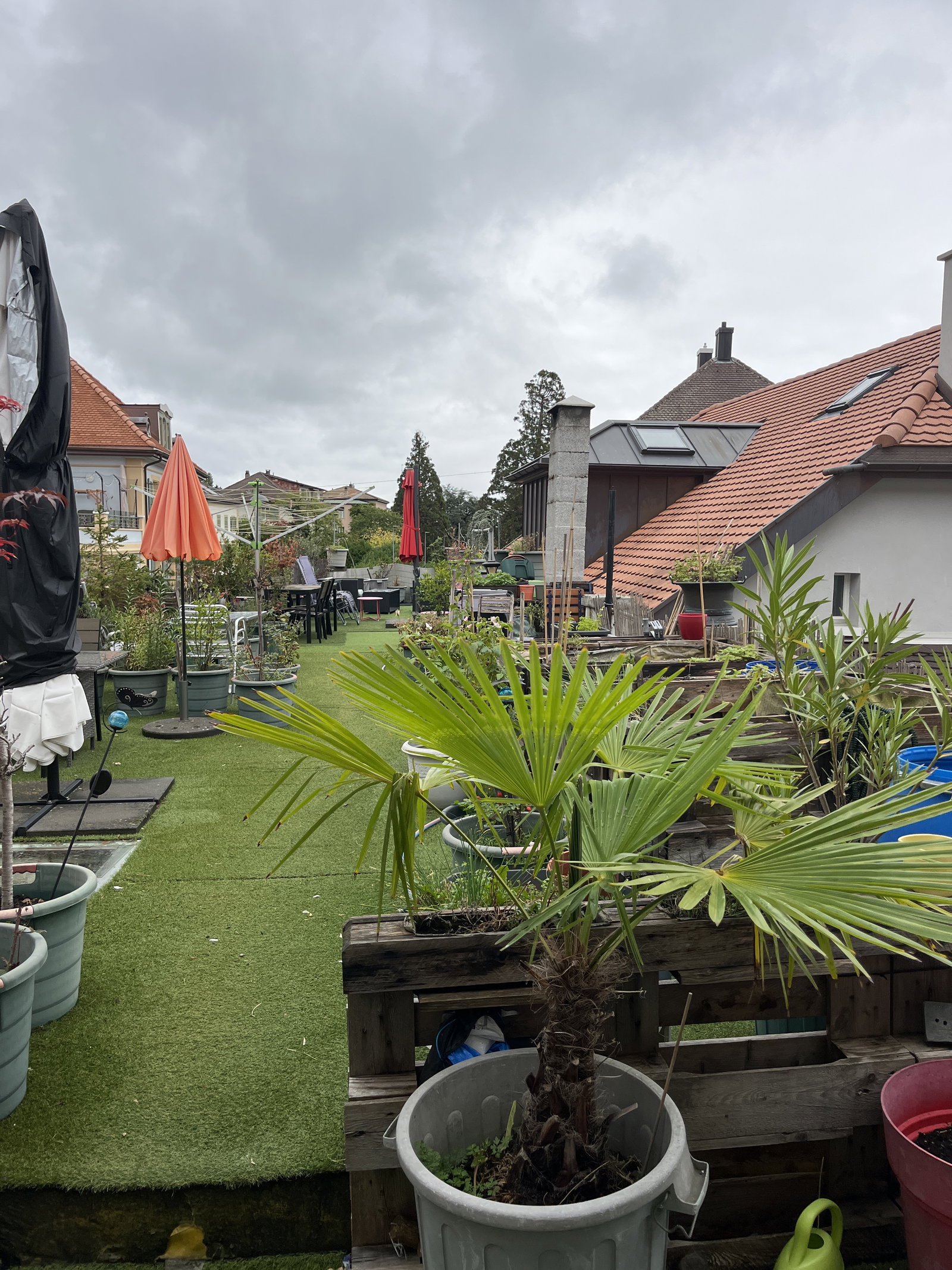 Coliving La Neuveville 677038