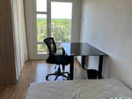 Colocation Rennes 561120