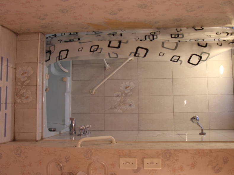 Kolokasie Montréal 103379-4