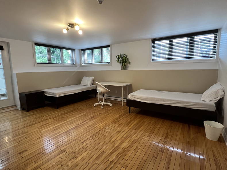 Kolokasie Saint-Hyacinthe 383617-1