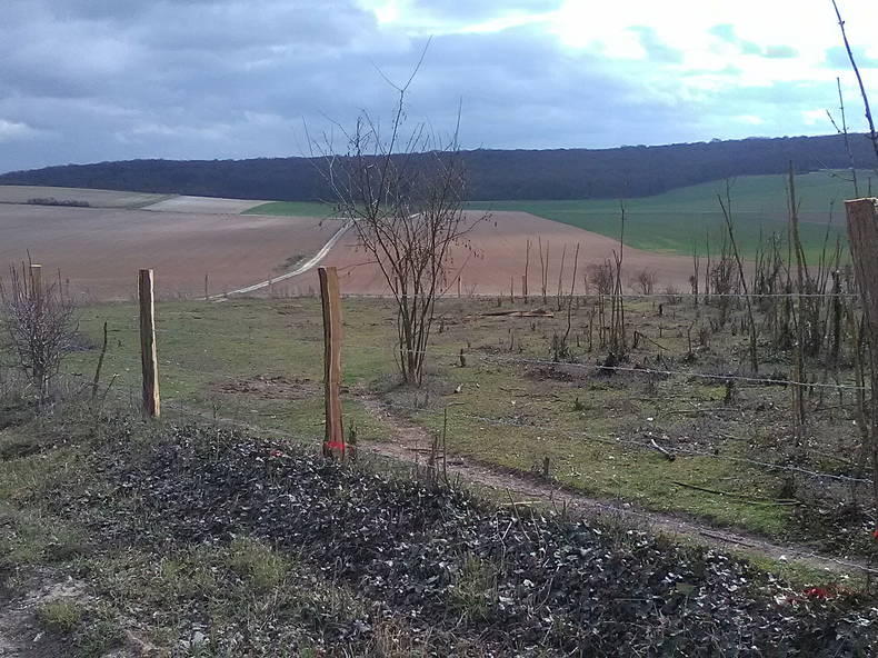 Chambre Chez L'habitant Boves 11386-3