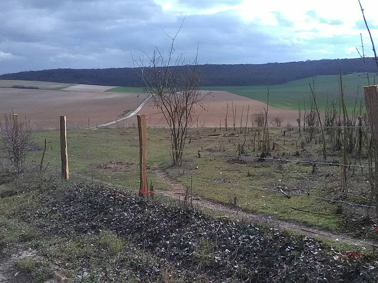 Homestay Boves 11386