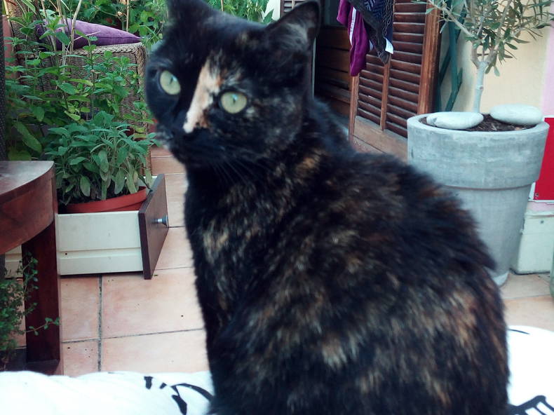 Tuisverblyf Nice 139568-3