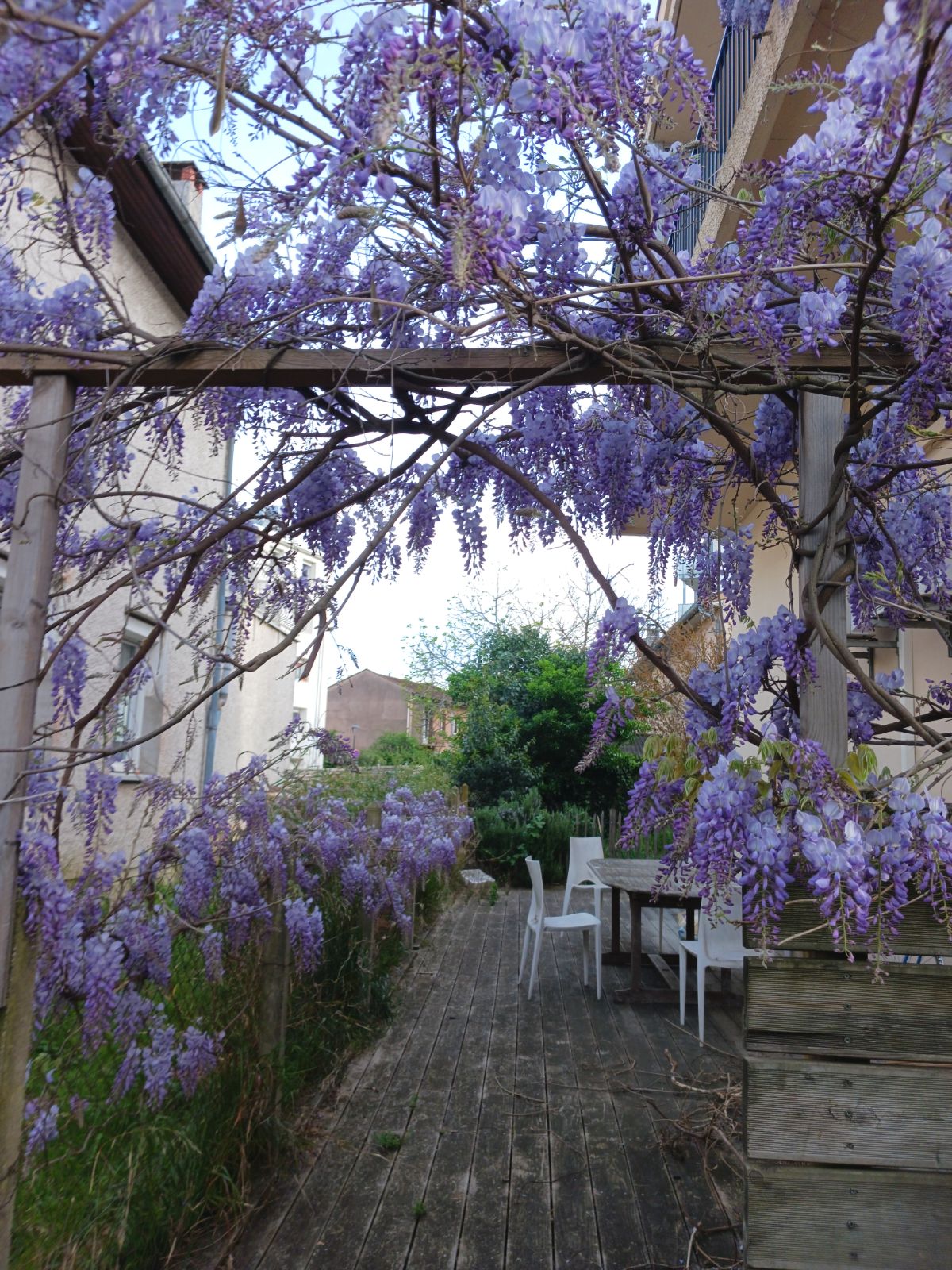 Colocation Toulouse 673868