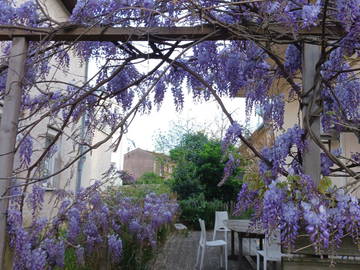 Shared housing for rent in Toulouse - photo 2: Other room-2