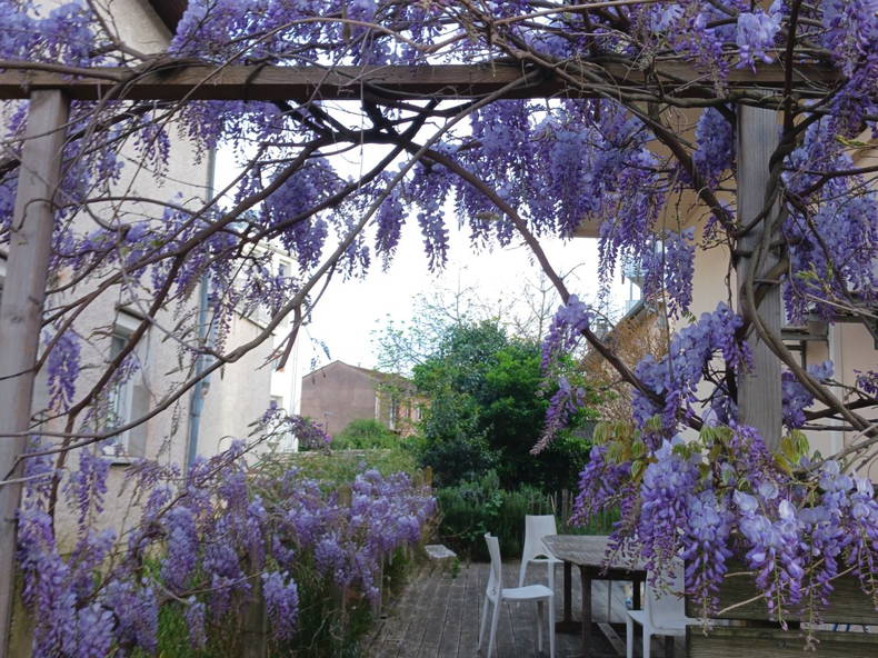 Shared Housing Toulouse 673868-2